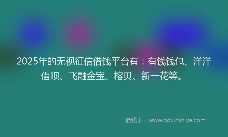 2025年的无视征信借钱平台有：有钱钱包、洋洋借呗、飞融金宝、榕贝、新一花等。