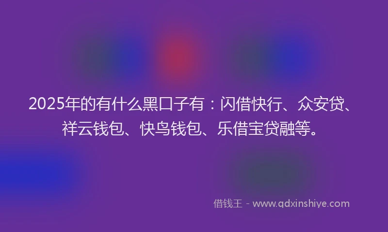 2025年的有什么黑口子有：闪借快行、众安贷、祥云钱包、快鸟钱包、乐借宝贷融等。