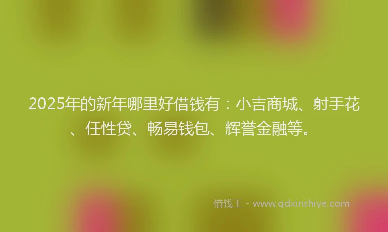 2025年的新年哪里好借钱有：小吉商城、射手花、任性贷、畅易钱包、辉誉金融等。