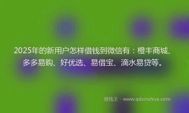 2025年的新用户怎样借钱到微信有：橙丰商城、多多易购、好优选、易借宝、滴水易贷等。