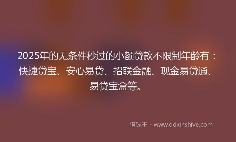 2025年的无条件秒过的小额贷款不限制年龄有：快捷贷宝、安心易贷、招联金融、现金易贷通、易贷宝盒等。
