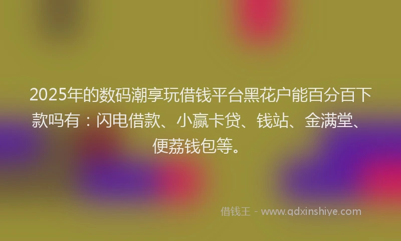 2025年的数码潮享玩借钱平台黑花户能百分百下款吗有：闪电借款、小赢卡贷、钱站、金满堂、便荔钱包等。