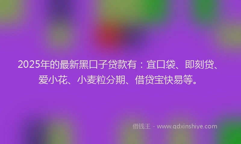 2025年的最新黑口子贷款有：宜口袋、即刻贷、爱小花、小麦粒分期、借贷宝快易等。