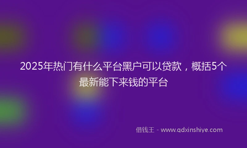 2025年热门有什么平台黑户可以贷款，概括5个最新能下来钱的平台
