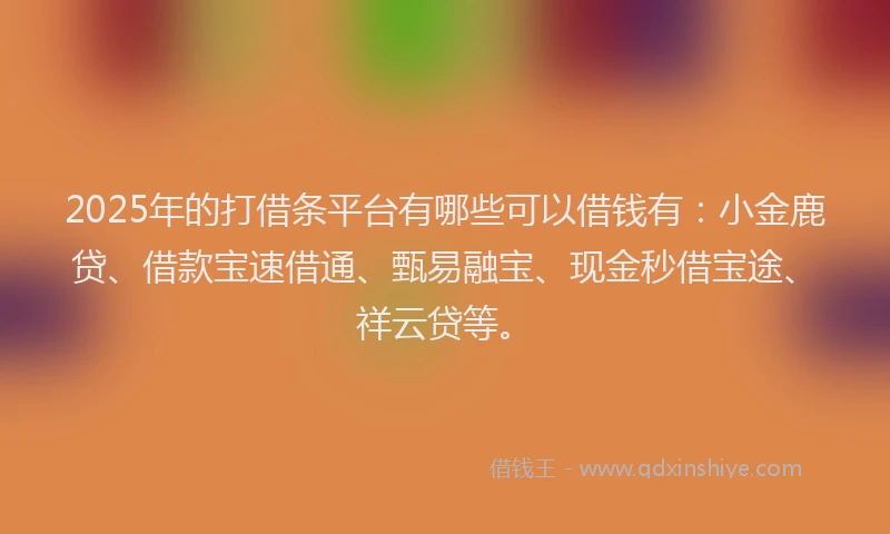 2025年的打借条平台有哪些可以借钱有：小金鹿贷、借款宝速借通、甄易融宝、现金秒借宝途、祥云贷等。