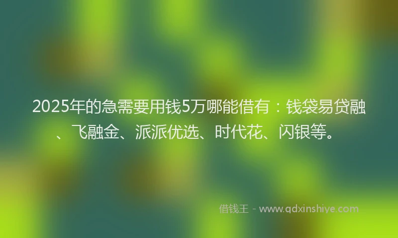 2025年的急需要用钱5万哪能借有：钱袋易贷融、飞融金、派派优选、时代花、闪银等。