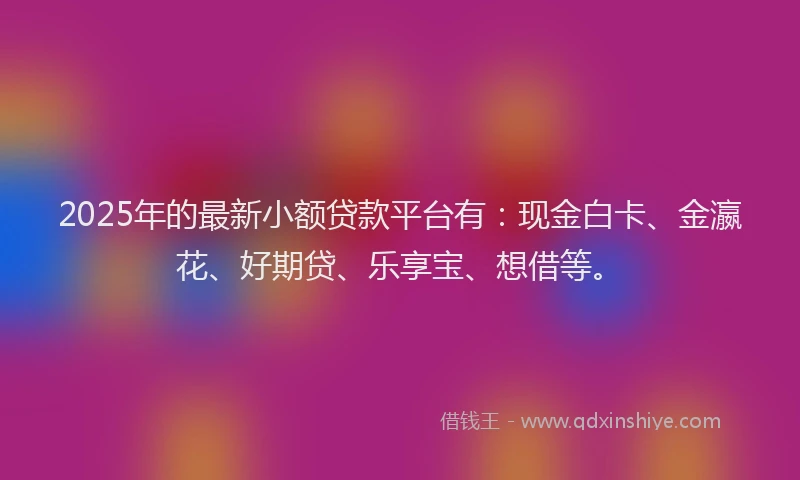 2025年的最新小额贷款平台有：现金白卡、金瀛花、好期贷、乐享宝、想借等。
