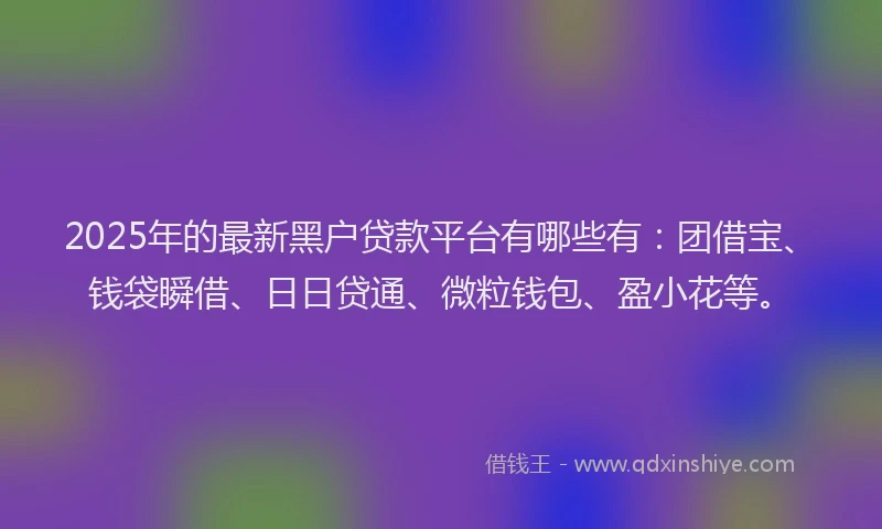 2025年的最新黑户贷款平台有哪些有：团借宝、钱袋瞬借、日日贷通、微粒钱包、盈小花等。