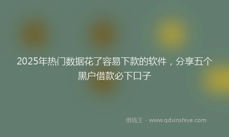 2025年热门数据花了容易下款的软件，分享五个黑户借款必下口子