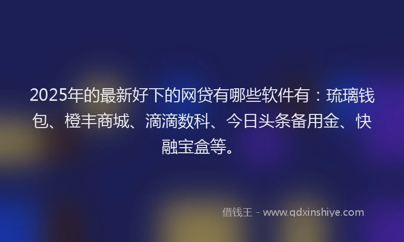 2025年的最新好下的网贷有哪些软件有：琉璃钱包、橙丰商城、滴滴数科、今日头条备用金、快融宝盒等。