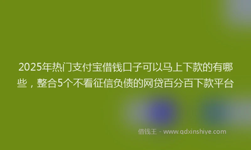2025年热门支付宝借钱口子可以马上下款的有哪些，整合5个不看征信负债的网贷百分百下款平台