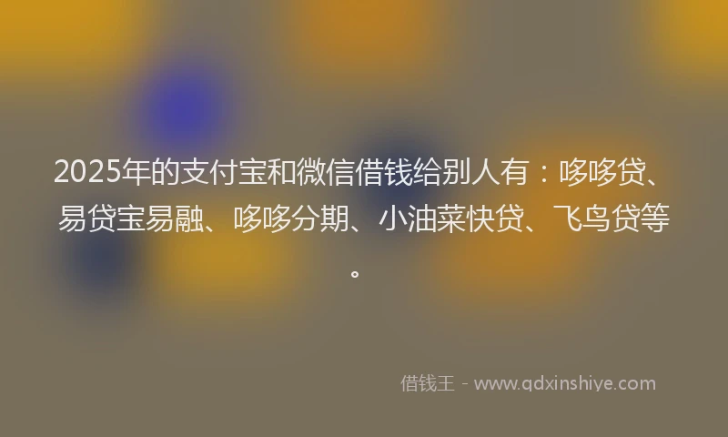 2025年的支付宝和微信借钱给别人有：哆哆贷、易贷宝易融、哆哆分期、小油菜快贷、飞鸟贷等。
