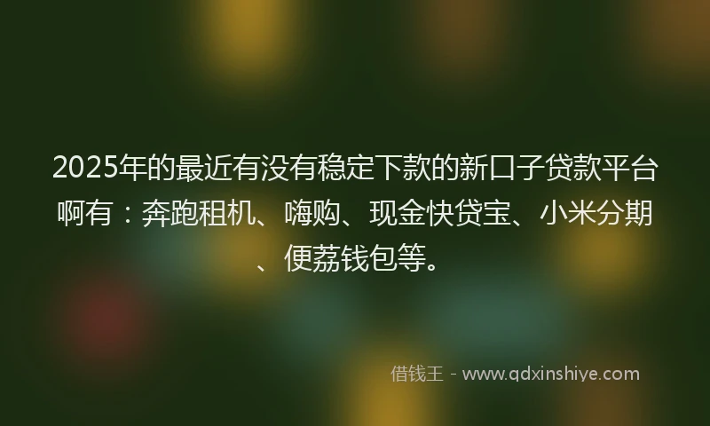 2025年的最近有没有稳定下款的新口子贷款平台啊有：奔跑租机、嗨购、现金快贷宝、小米分期、便荔钱包等。