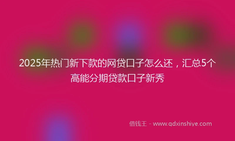 2025年热门新下款的网贷口子怎么还，汇总5个高能分期贷款口子新秀