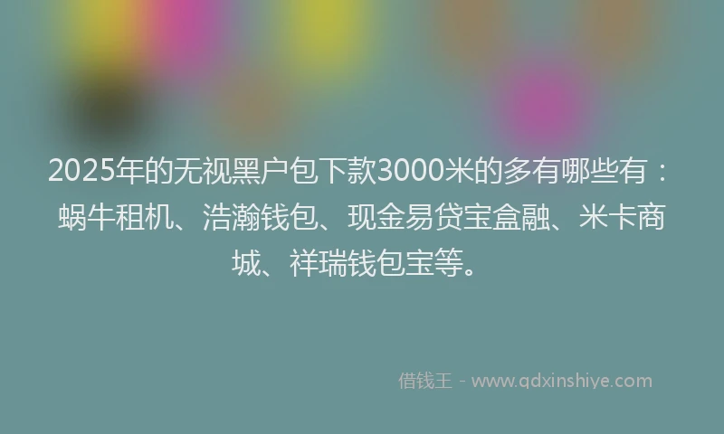 2025年的无视黑户包下款3000米的多有哪些有：蜗牛租机、浩瀚钱包、现金易贷宝盒融、米卡商城、祥瑞钱包宝等。