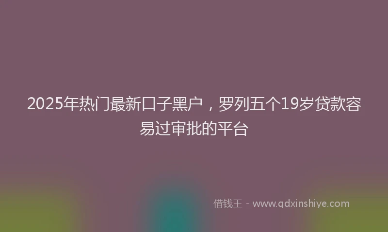 2025年热门最新口子黑户，罗列五个19岁贷款容易过审批的平台