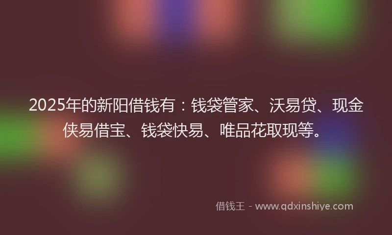 2025年的新阳借钱有：钱袋管家、沃易贷、现金侠易借宝、钱袋快易、唯品花取现等。