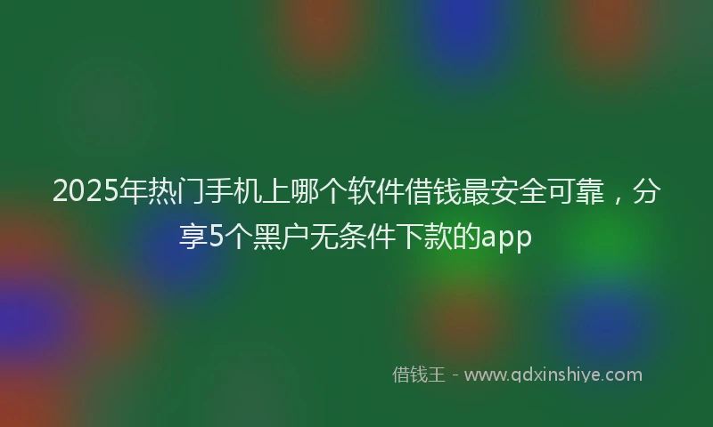 2025年热门手机上哪个软件借钱最安全可靠，分享5个黑户无条件下款的app