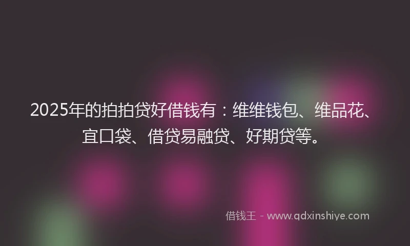 2025年的拍拍贷好借钱有：维维钱包、维品花、宜口袋、借贷易融贷、好期贷等。