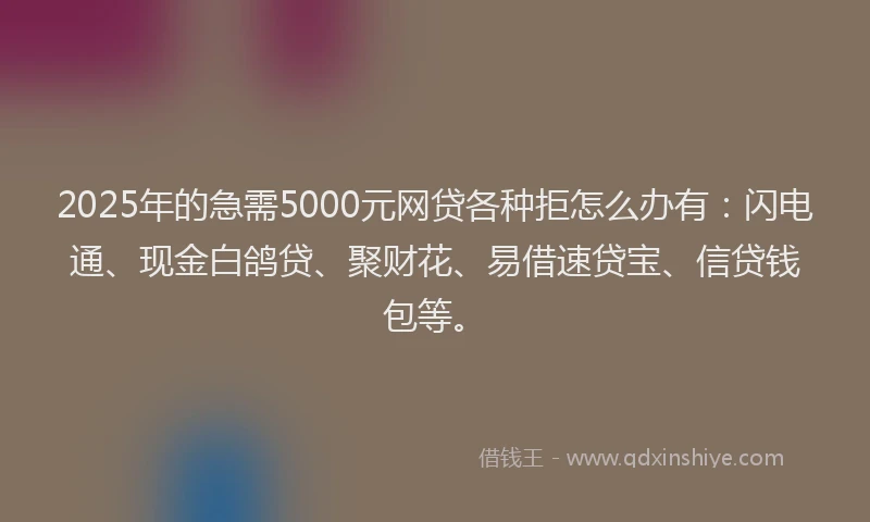 2025年的急需5000元网贷各种拒怎么办有：闪电通、现金白鸽贷、聚财花、易借速贷宝、信贷钱包等。