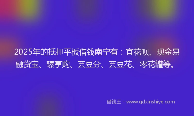2025年的抵押平板借钱南宁有：宜花呗、现金易融贷宝、臻享购、芸豆分、芸豆花、零花罐等。
