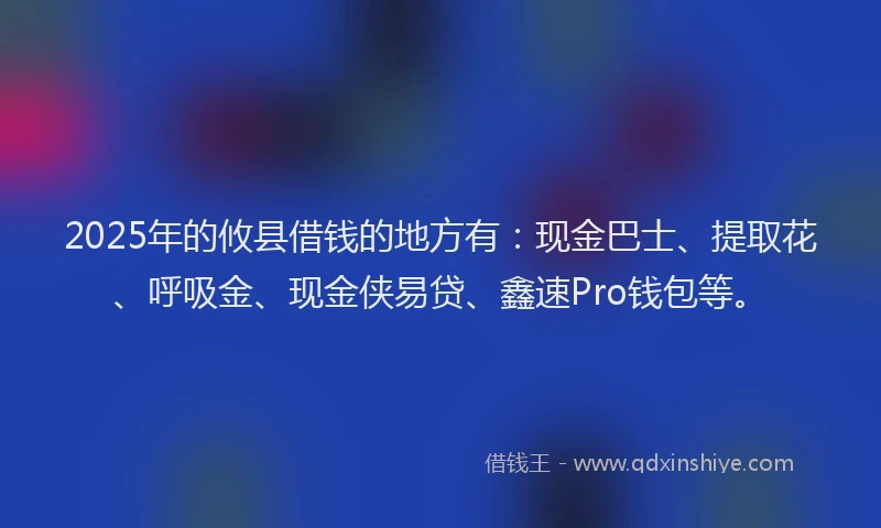 2025年的攸县借钱的地方有：现金巴士、提取花、呼吸金、现金侠易贷、鑫速Pro钱包等。