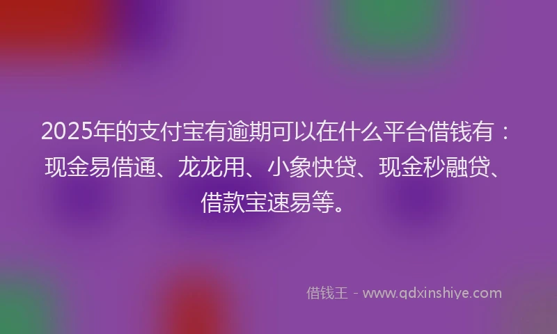 2025年的支付宝有逾期可以在什么平台借钱有：现金易借通、龙龙用、小象快贷、现金秒融贷、借款宝速易等。