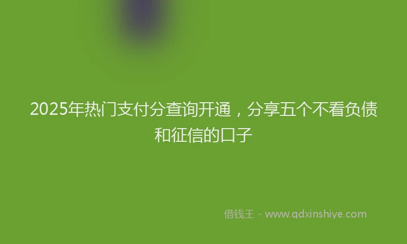 2025年热门支付分查询开通，分享五个不看负债和征信的口子