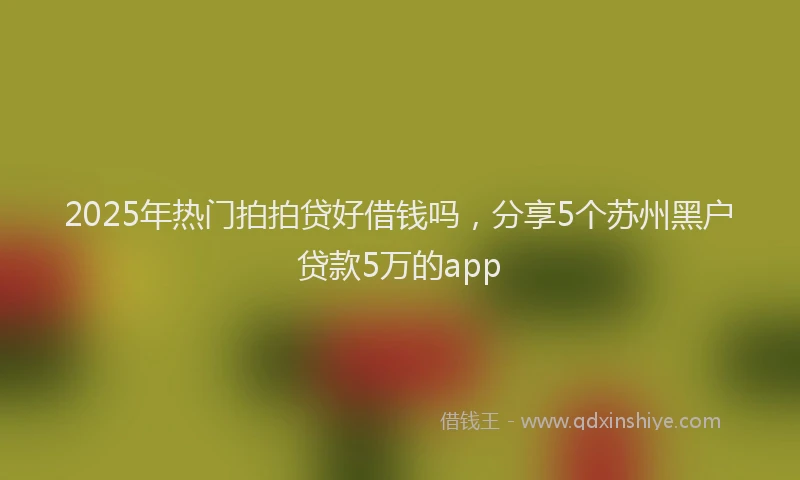 2025年热门拍拍贷好借钱吗，分享5个苏州黑户贷款5万的app