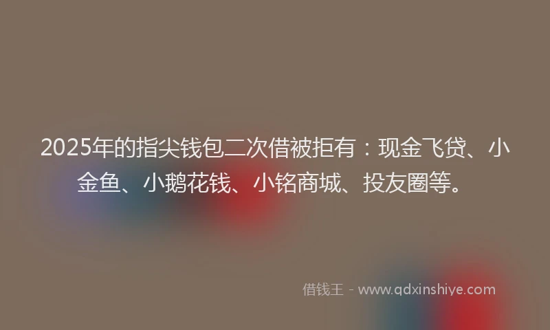 2025年的指尖钱包二次借被拒有：现金飞贷、小金鱼、小鹅花钱、小铭商城、投友圈等。