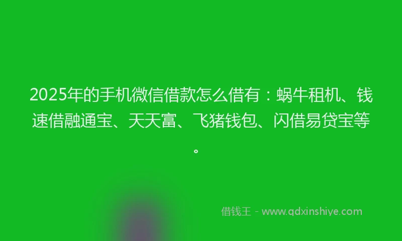 2025年的手机微信借款怎么借有：蜗牛租机、钱速借融通宝、天天富、飞猪钱包、闪借易贷宝等。