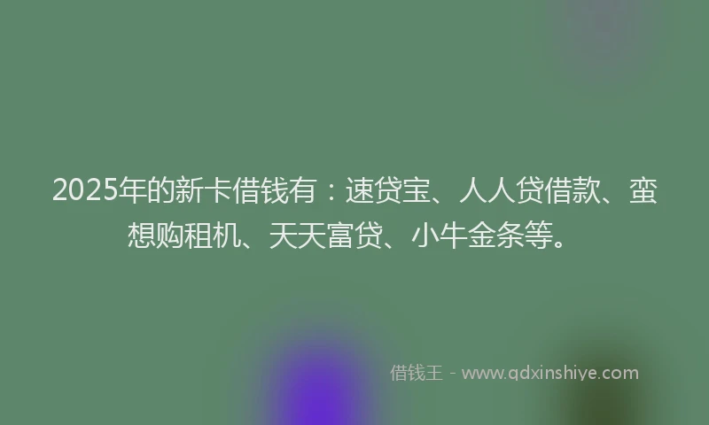 2025年的新卡借钱有：速贷宝、人人贷借款、蛮想购租机、天天富贷、小牛金条等。