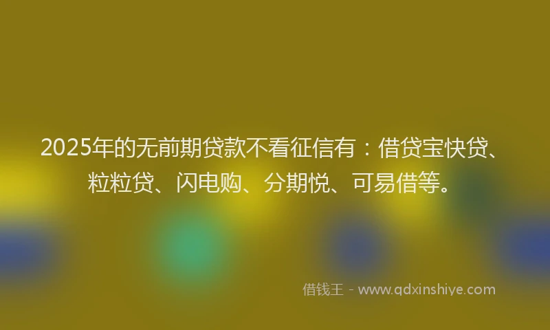 2025年的无前期贷款不看征信有：借贷宝快贷、粒粒贷、闪电购、分期悦、可易借等。