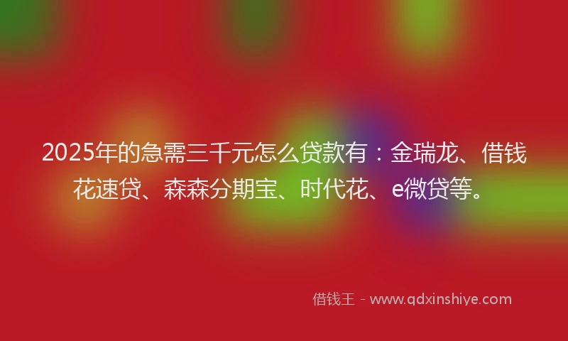 2025年的急需三千元怎么贷款有：金瑞龙、借钱花速贷、森森分期宝、时代花、e微贷等。