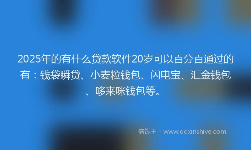 2025年的有什么贷款软件20岁可以百分百通过的有：钱袋瞬贷、小麦粒钱包、闪电宝、汇金钱包、哆来咪钱包等。