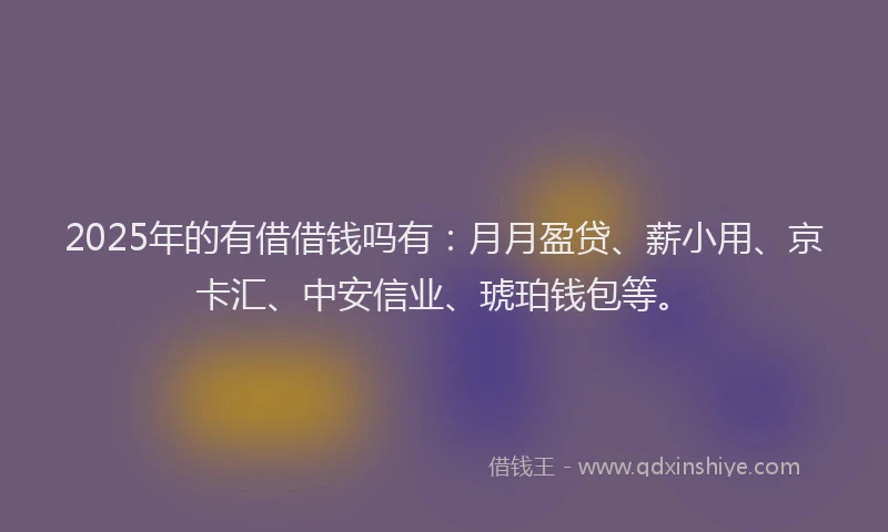 2025年的有借借钱吗有：月月盈贷、薪小用、京卡汇、中安信业、琥珀钱包等。