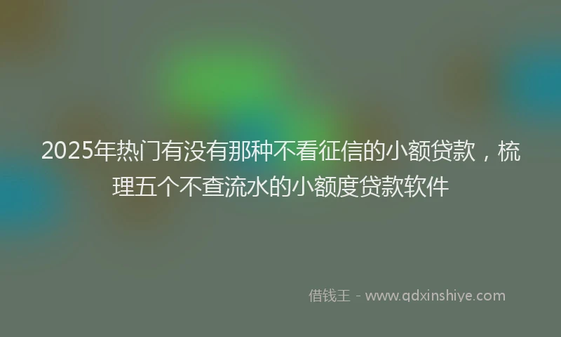 2025年热门有没有那种不看征信的小额贷款，梳理五个不查流水的小额度贷款软件