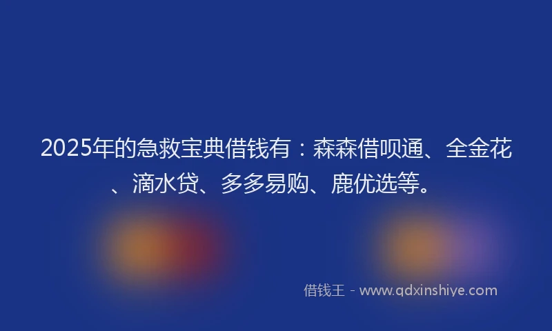 2025年的急救宝典借钱有：森森借呗通、全金花、滴水贷、多多易购、鹿优选等。