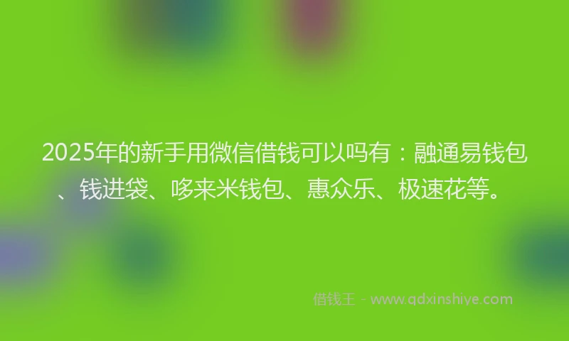 2025年的新手用微信借钱可以吗有：融通易钱包、钱进袋、哆来米钱包、惠众乐、极速花等。