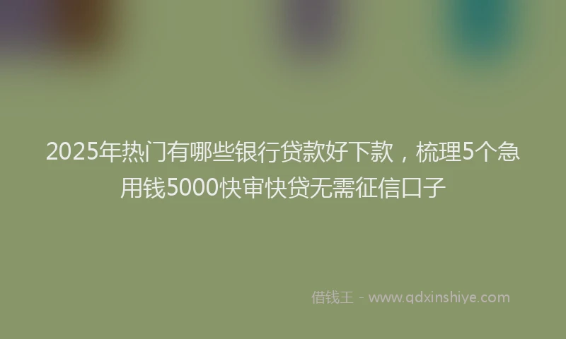 2025年热门有哪些银行贷款好下款，梳理5个急用钱5000快审快贷无需征信口子