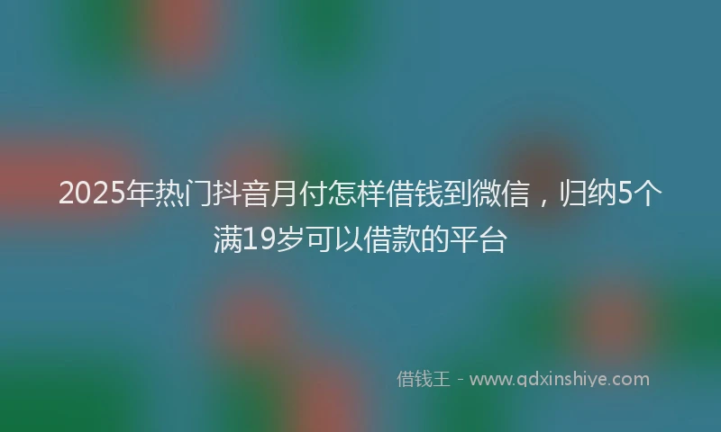 2025年热门抖音月付怎样借钱到微信，归纳5个满19岁可以借款的平台