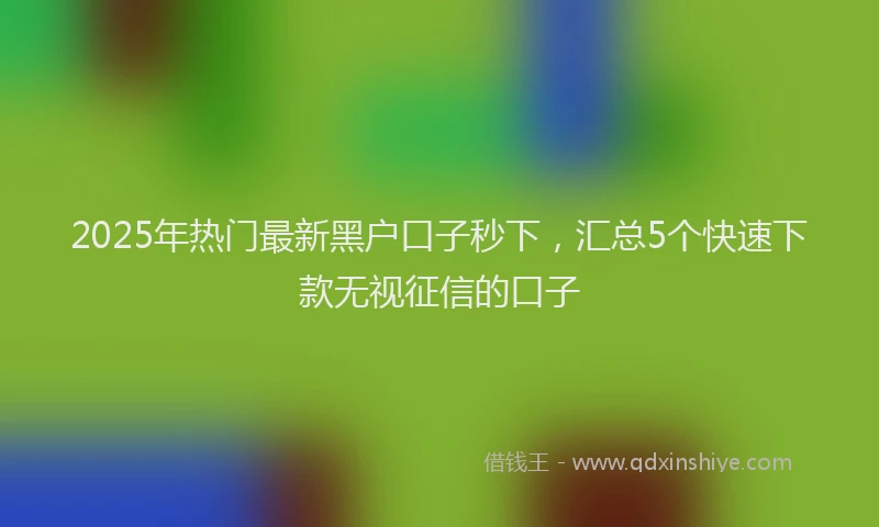2025年热门最新黑户口子秒下，汇总5个快速下款无视征信的口子