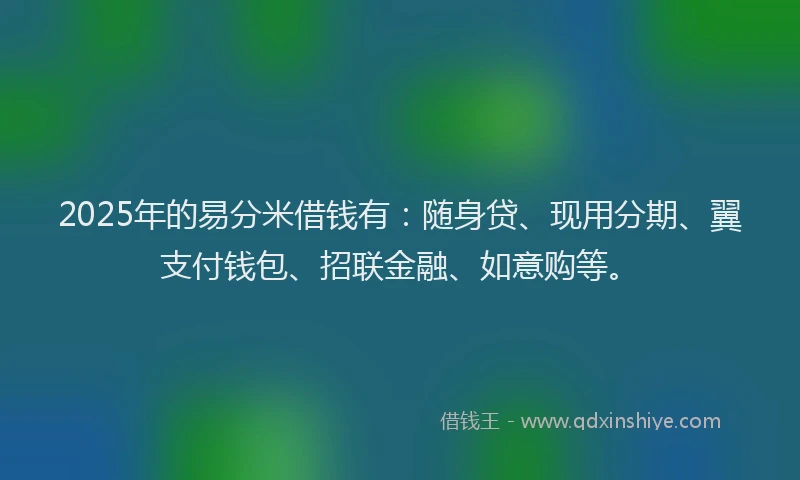 2025年的易分米借钱有：随身贷、现用分期、翼支付钱包、招联金融、如意购等。