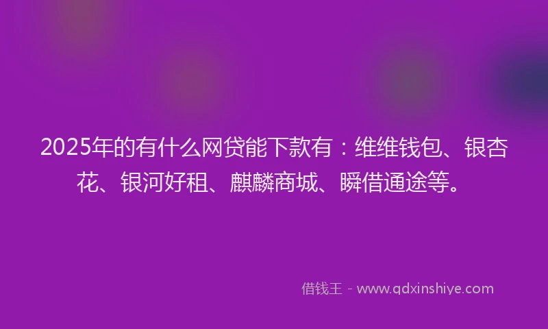 2025年的有什么网贷能下款有：维维钱包、银杏花、银河好租、麒麟商城、瞬借通途等。