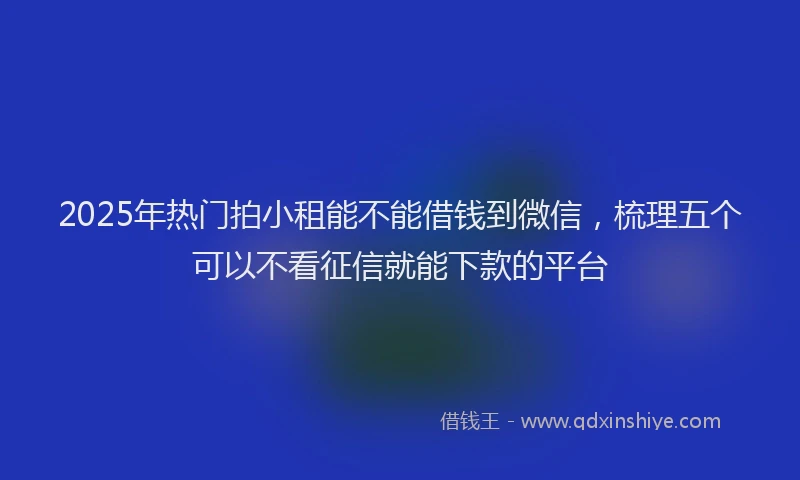 2025年热门拍小租能不能借钱到微信，梳理五个可以不看征信就能下款的平台