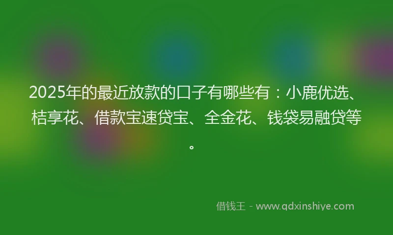 2025年的最近放款的口子有哪些有：小鹿优选、桔享花、借款宝速贷宝、全金花、钱袋易融贷等。