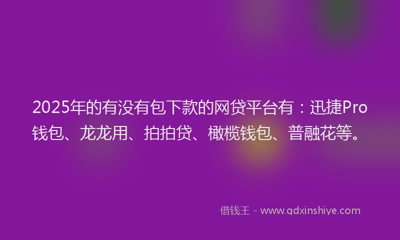 2025年的有没有包下款的网贷平台有：迅捷Pro钱包、龙龙用、拍拍贷、橄榄钱包、普融花等。