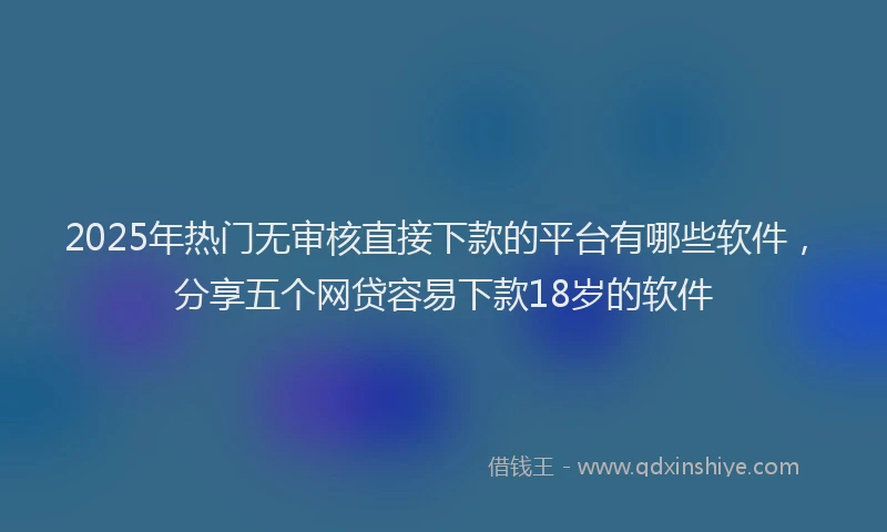 2025年热门无审核直接下款的平台有哪些软件，分享五个网贷容易下款18岁的软件