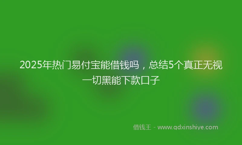 2025年热门易付宝能借钱吗，总结5个真正无视一切黑能下款口子