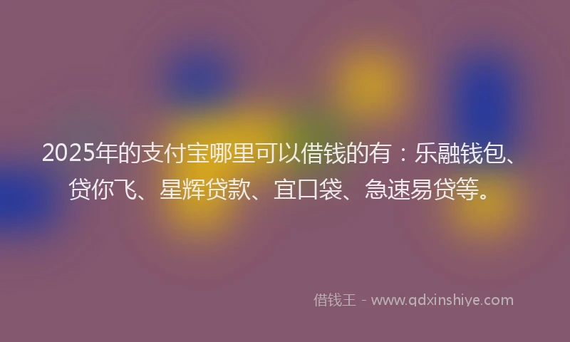 2025年的支付宝哪里可以借钱的有：乐融钱包、贷你飞、星辉贷款、宜口袋、急速易贷等。
